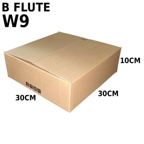 Carton Box (B Flute RSC Box) W9