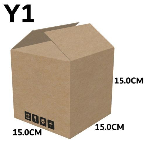 Carton Box (B Flute RSC Box) Y1