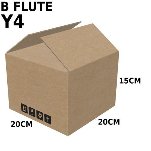 Carton Box (B Flute RSC Box) Y4
