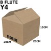 Carton Box (B Flute RSC Box) Y4