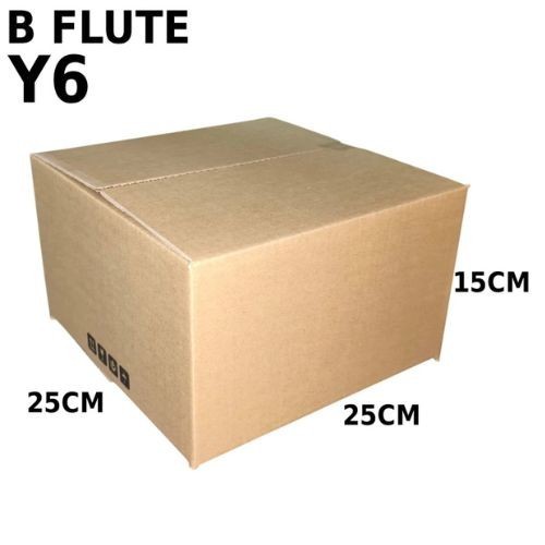 Carton Box (B Flute RSC Box) Y6