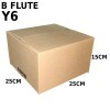 Carton Box (B Flute RSC Box) Y6