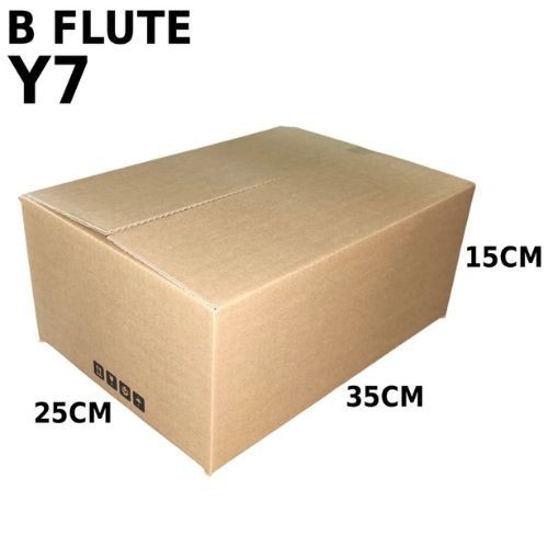 Carton Box (B Flute RSC Box) Y7