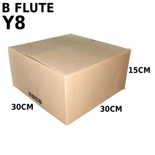 Carton Box (B Flute RSC Box) Y8