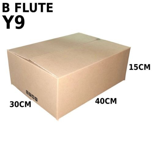 Carton Box (B Flute RSC Box) Y9
