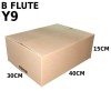 Carton Box (B Flute RSC Box) Y9