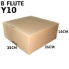 Carton Box (B Flute RSC Box) Y10