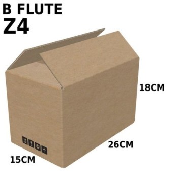 Carton Box (B Flute RSC Box) Z4
