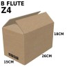 Carton Box (B Flute RSC Box) Z4