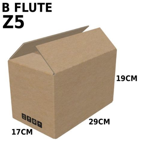 Carton Box (B Flute RSC Box) Z5