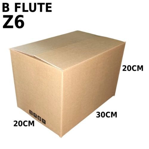Carton Box (B Flute RSC Box) Z6