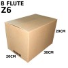 Carton Box (B Flute RSC Box) Z6
