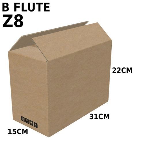 Carton Box (B Flute RSC Box) Z8