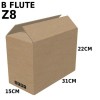 Carton Box (B Flute RSC Box) Z8