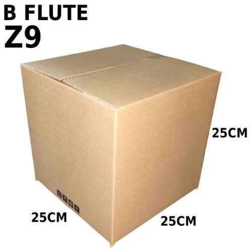 Carton Box (B Flute RSC Box) Z9