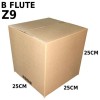Carton Box (B Flute RSC Box) Z9